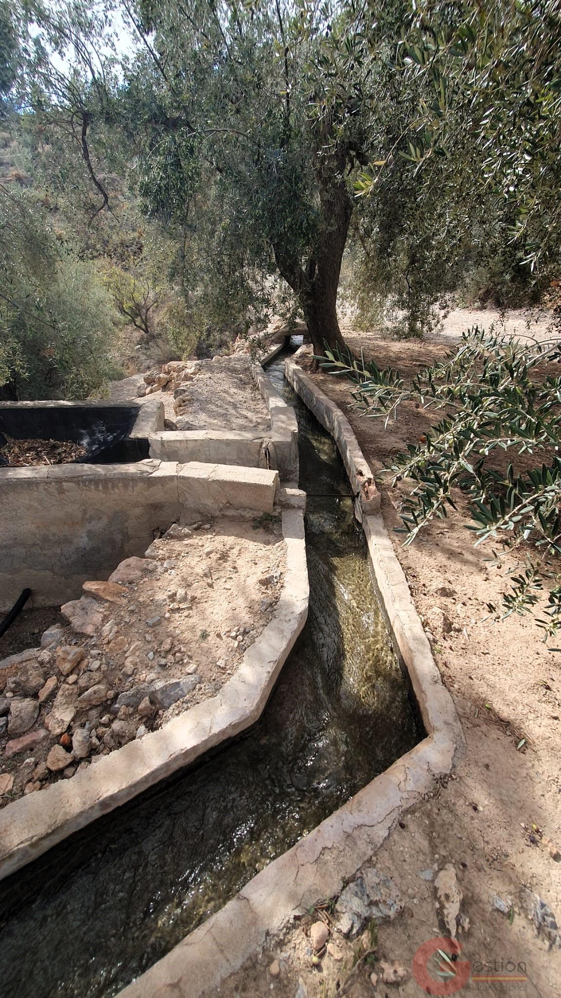 Venta de terreno en Píñar Venta de terreno en Píñar