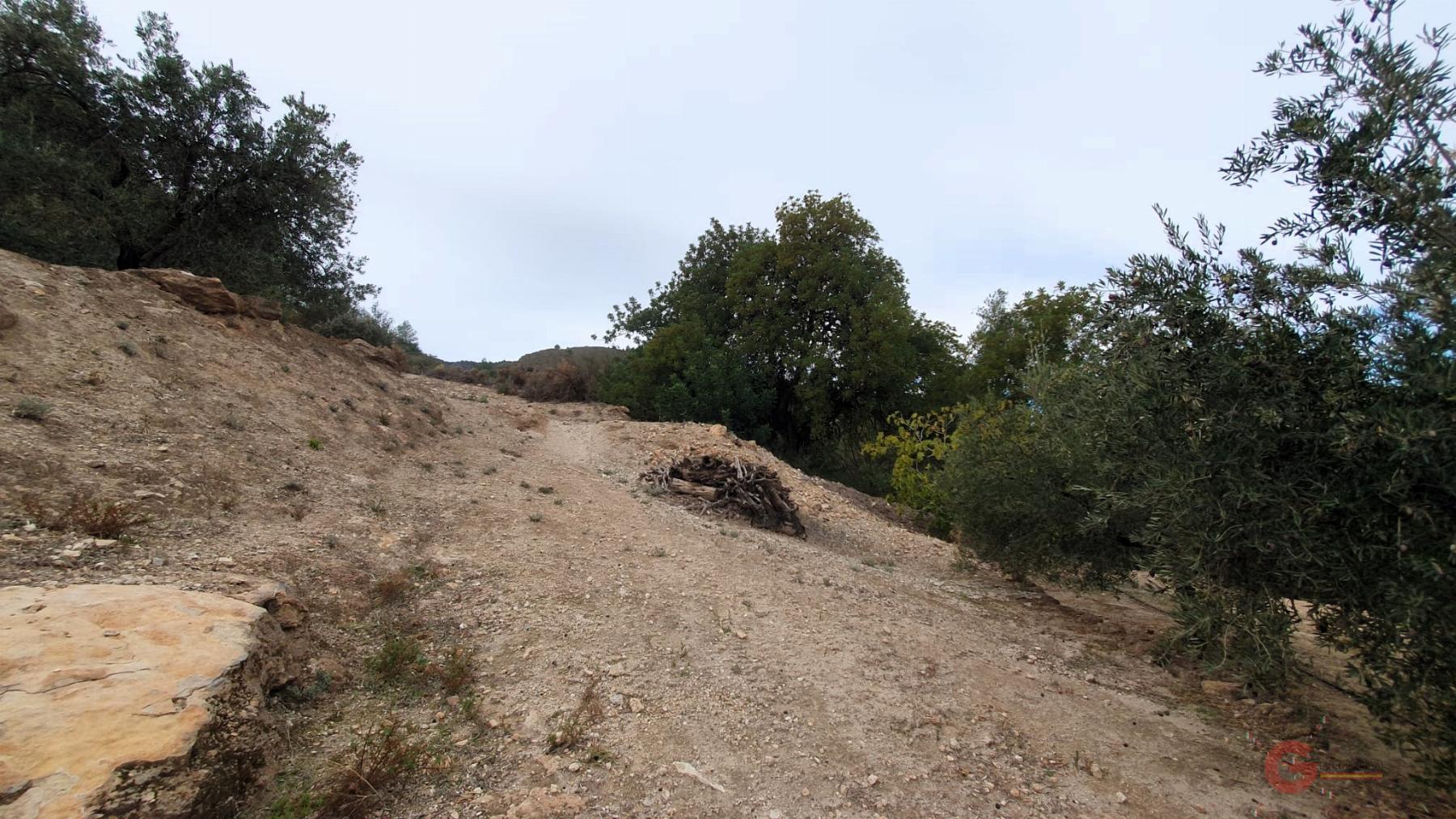 Vendita di terreno in Píñar