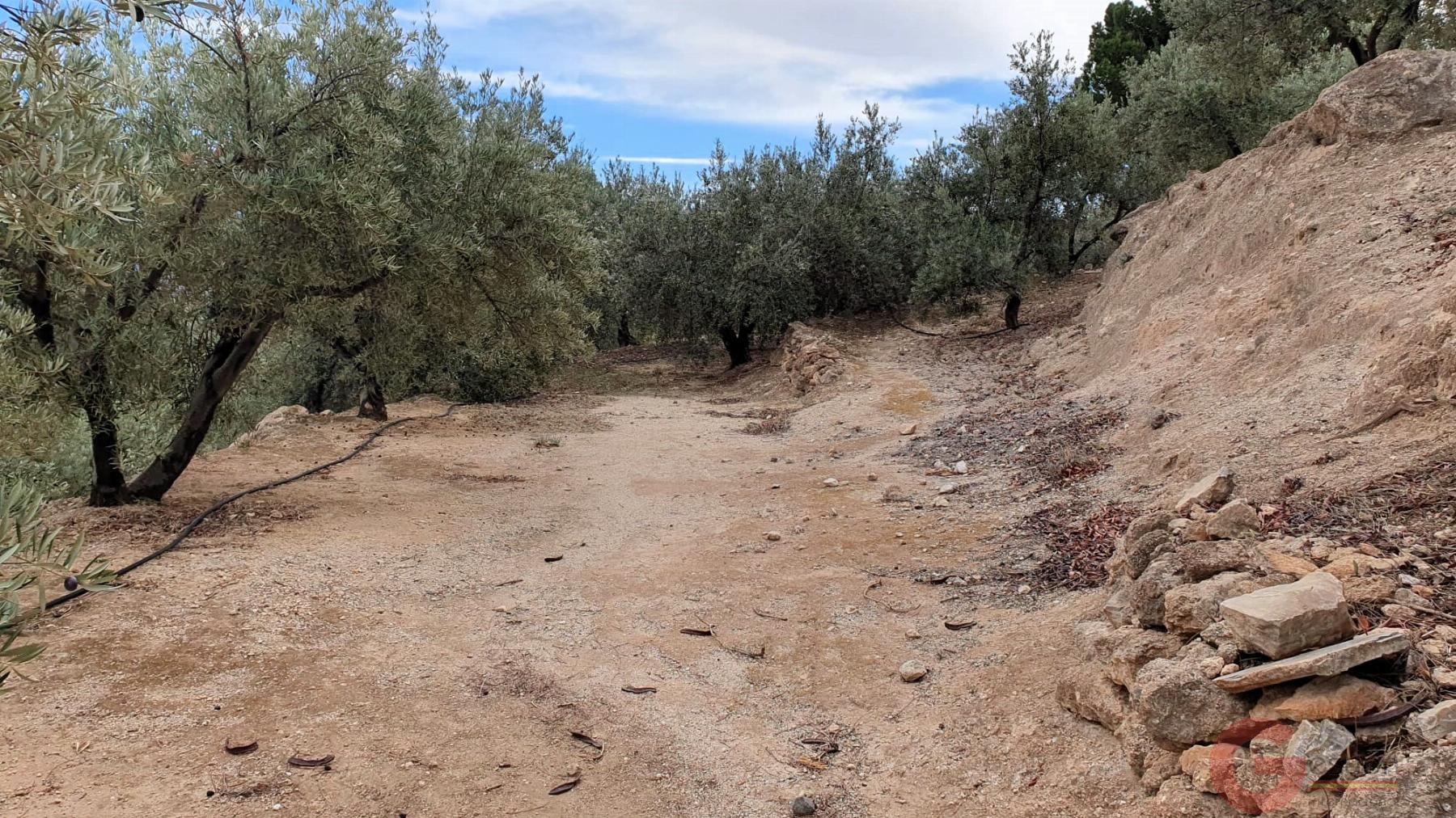 Venta de terreno en Píñar Venta de terreno en Píñar