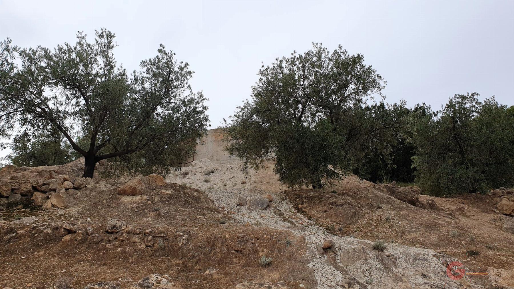 Vendita di terreno in Píñar