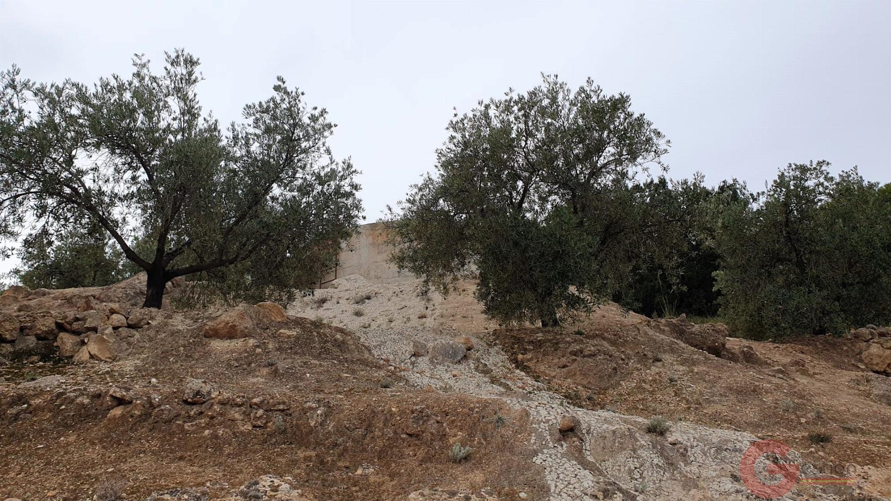 Venta de terreno en Píñar Venta de terreno en Píñar