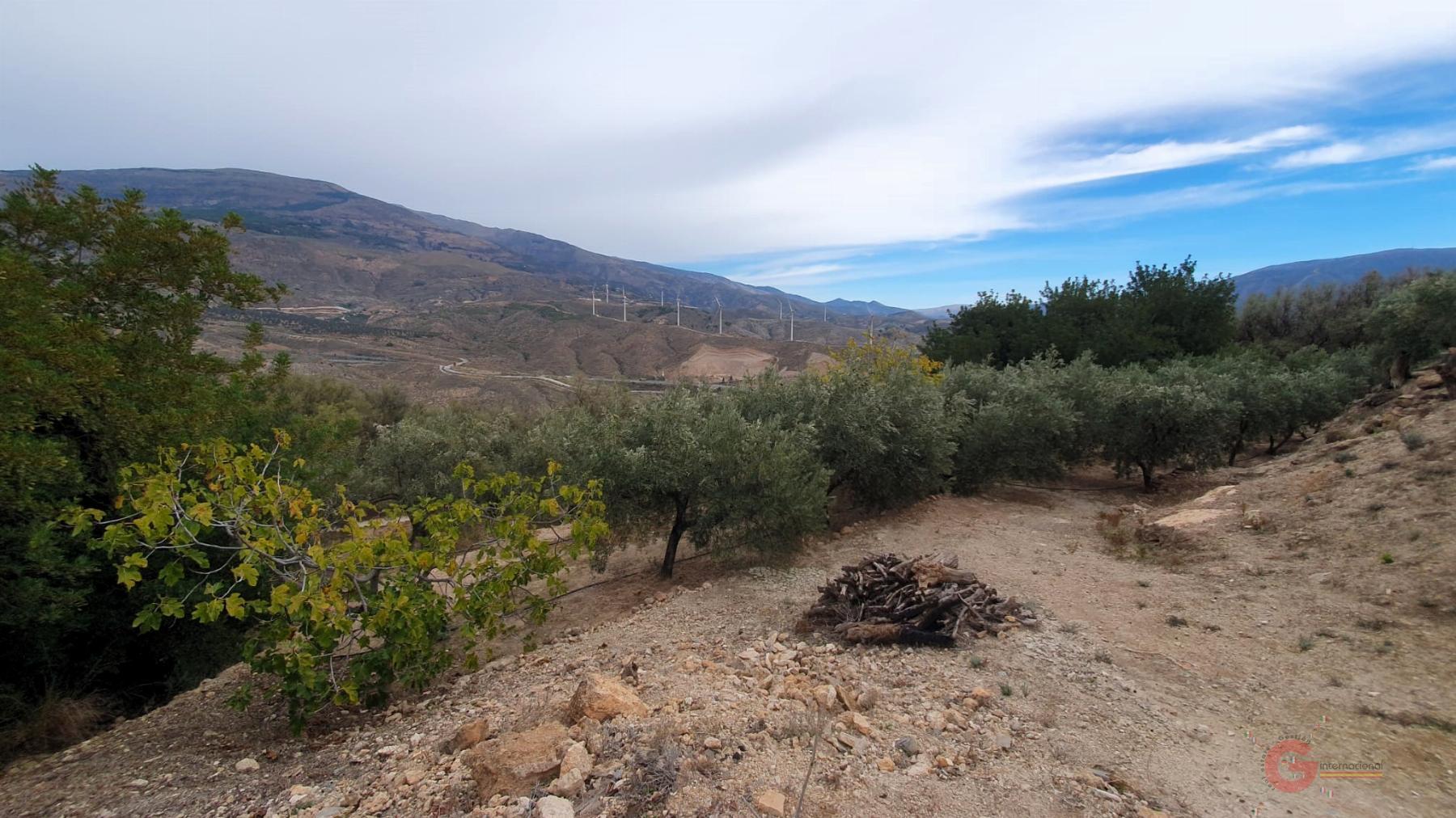 Venta de terreno en Píñar