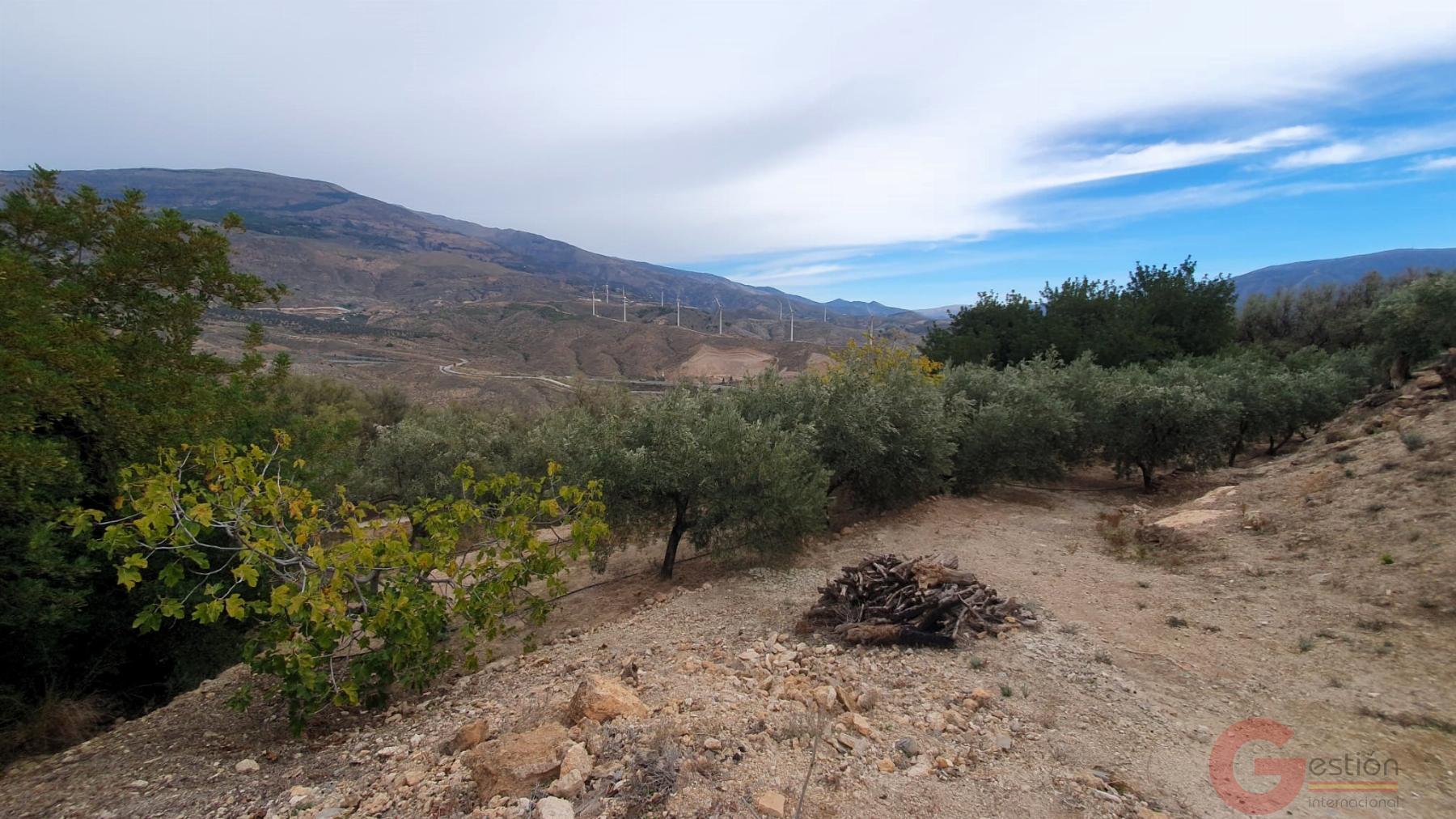 Venta de terreno en Píñar Venta de terreno en Píñar