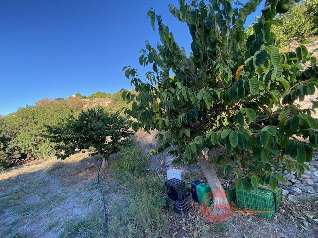 Vente de propriété rurale dans Otívar