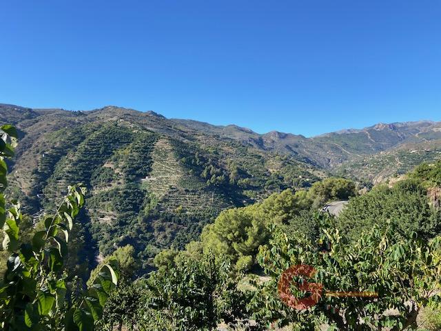 Vente de propriété rurale dans Otívar