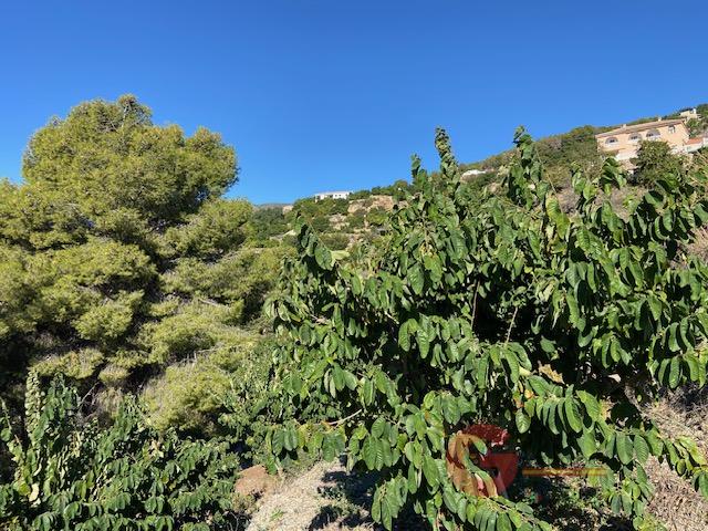 Vente de propriété rurale dans Otívar