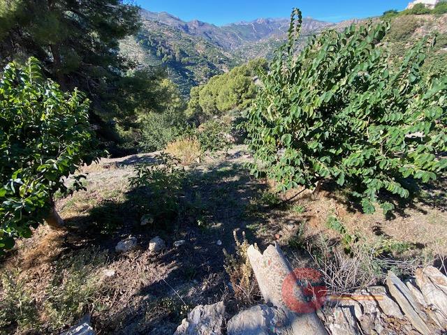 Vente de propriété rurale dans Otívar