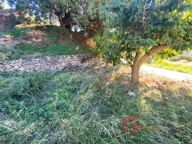 Vente de propriété rurale dans Otívar