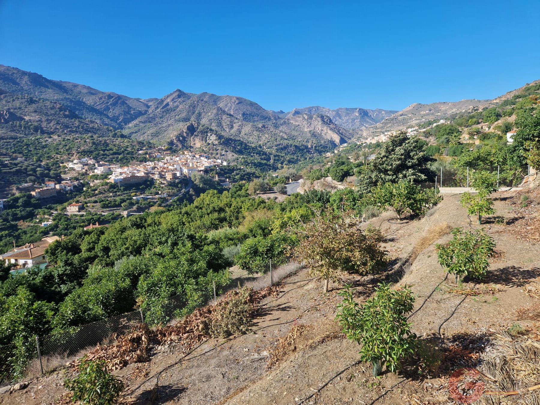 Venta de finca rústica en Guájar Fondón Venta de finca rústica en Guájar Fondón