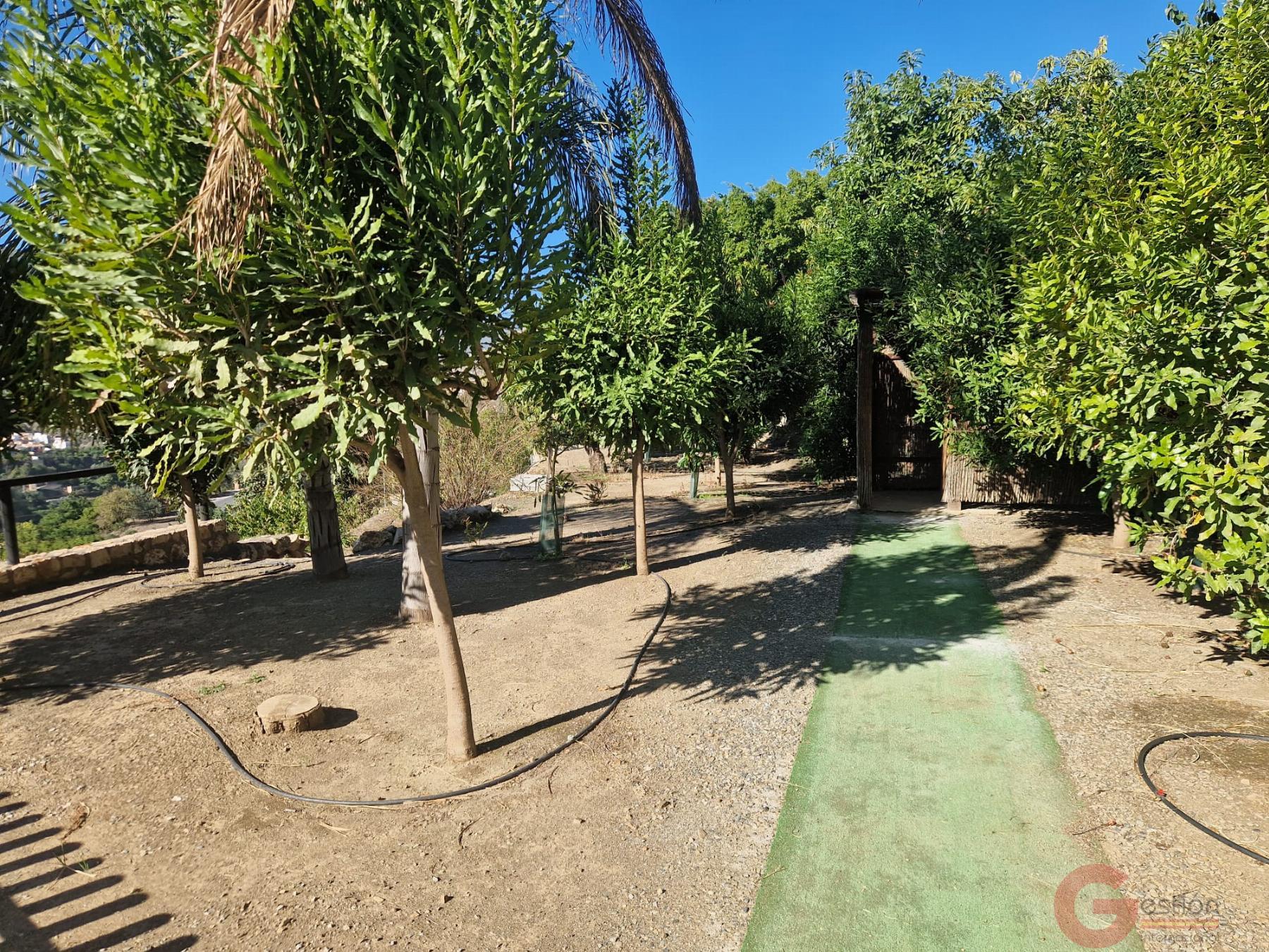 Venta de finca rústica en Guájar Fondón Venta de finca rústica en Guájar Fondón