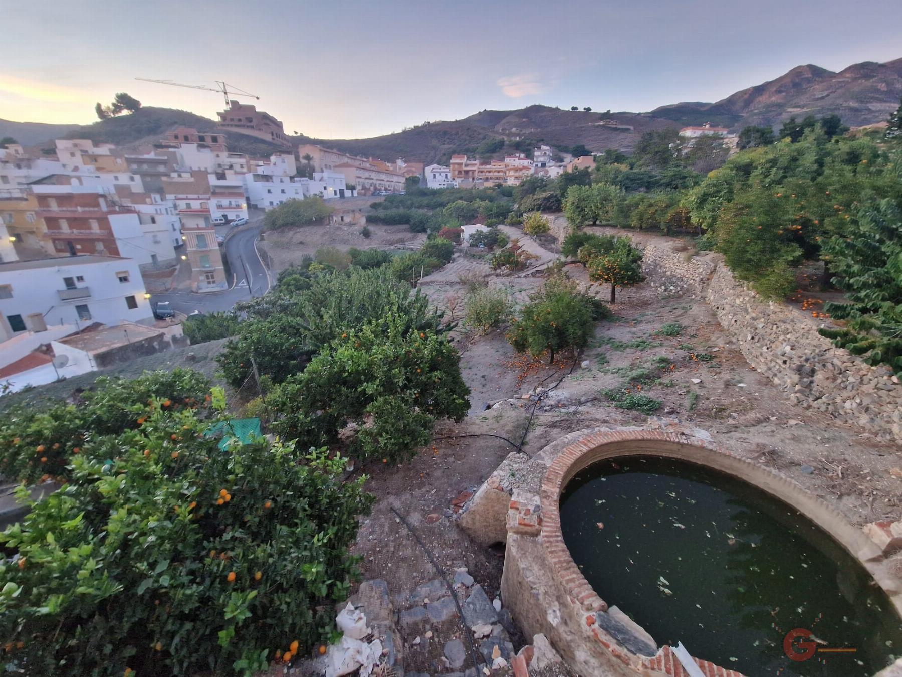 Vente de maison dans Molvízar