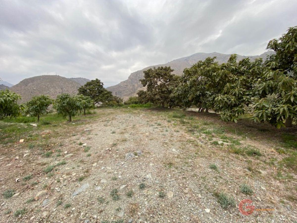 Venta de finca rústica en Motril