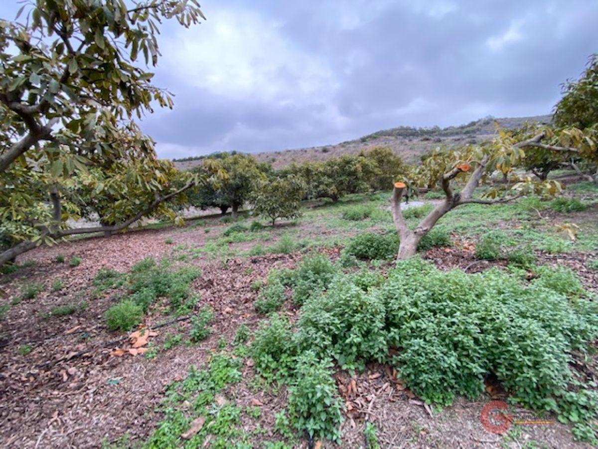 Venta de finca rústica en Motril