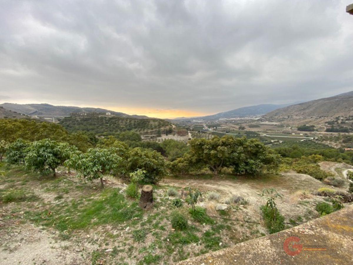 Venta de finca rústica en Motril