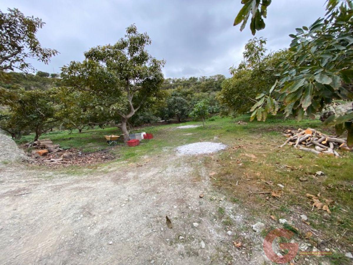 Vendita di proprietà rurale in Motril