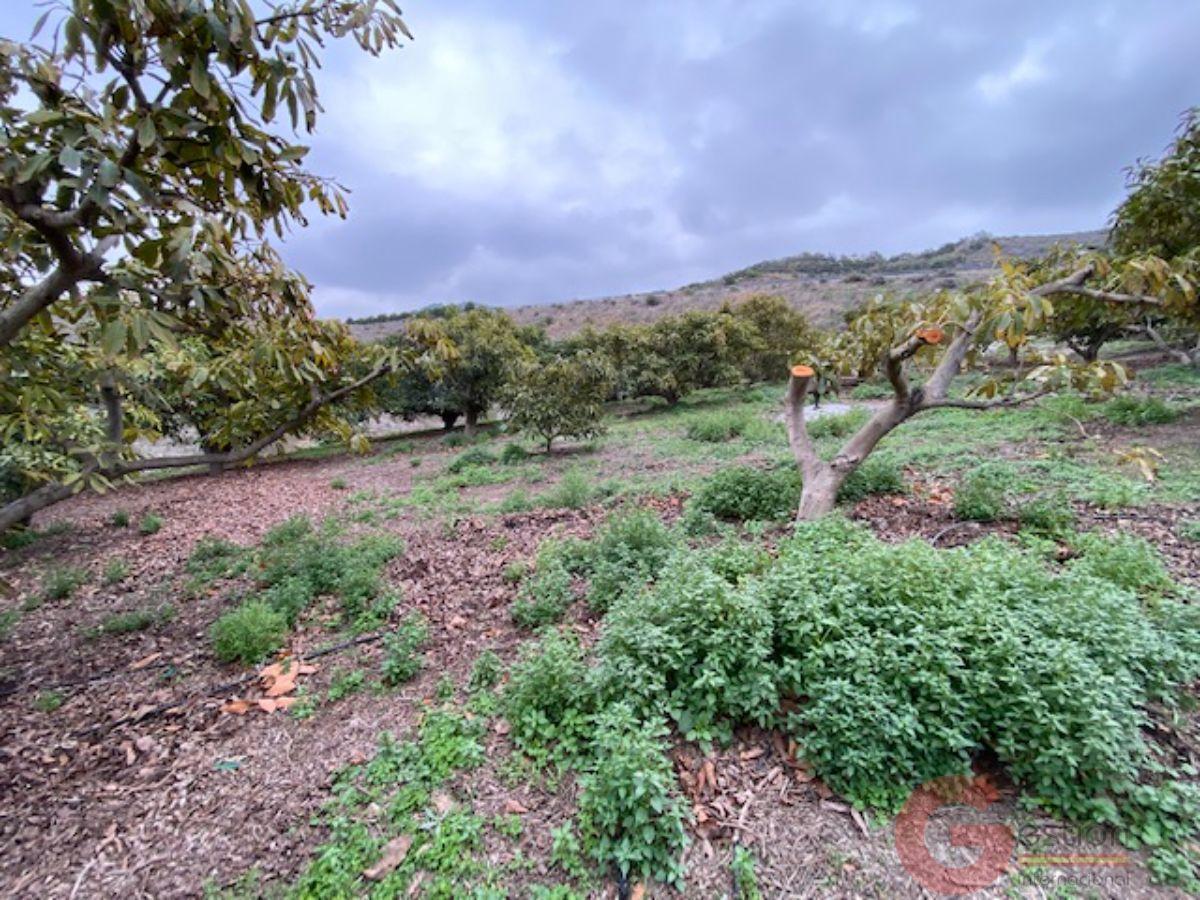 Vendita di proprietà rurale in Motril