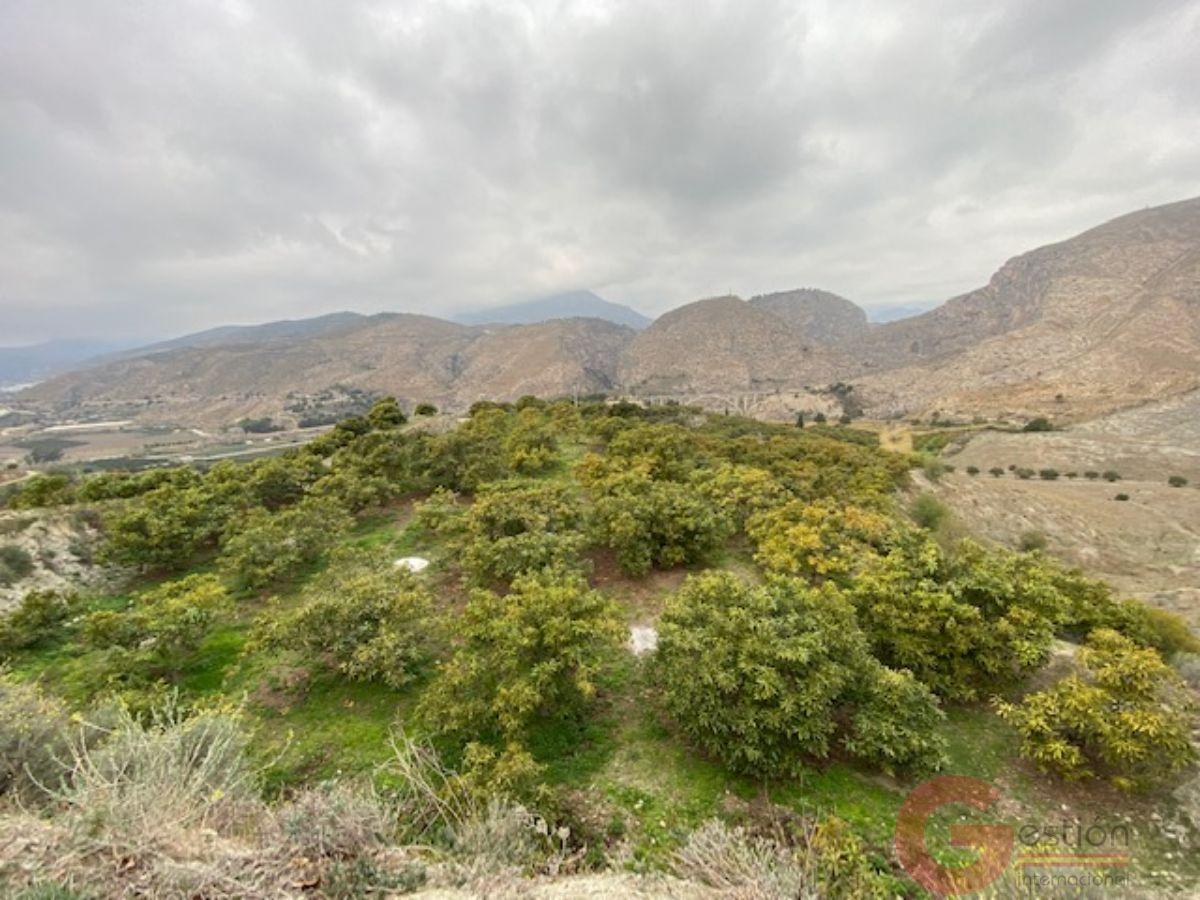 Vendita di proprietà rurale in Motril