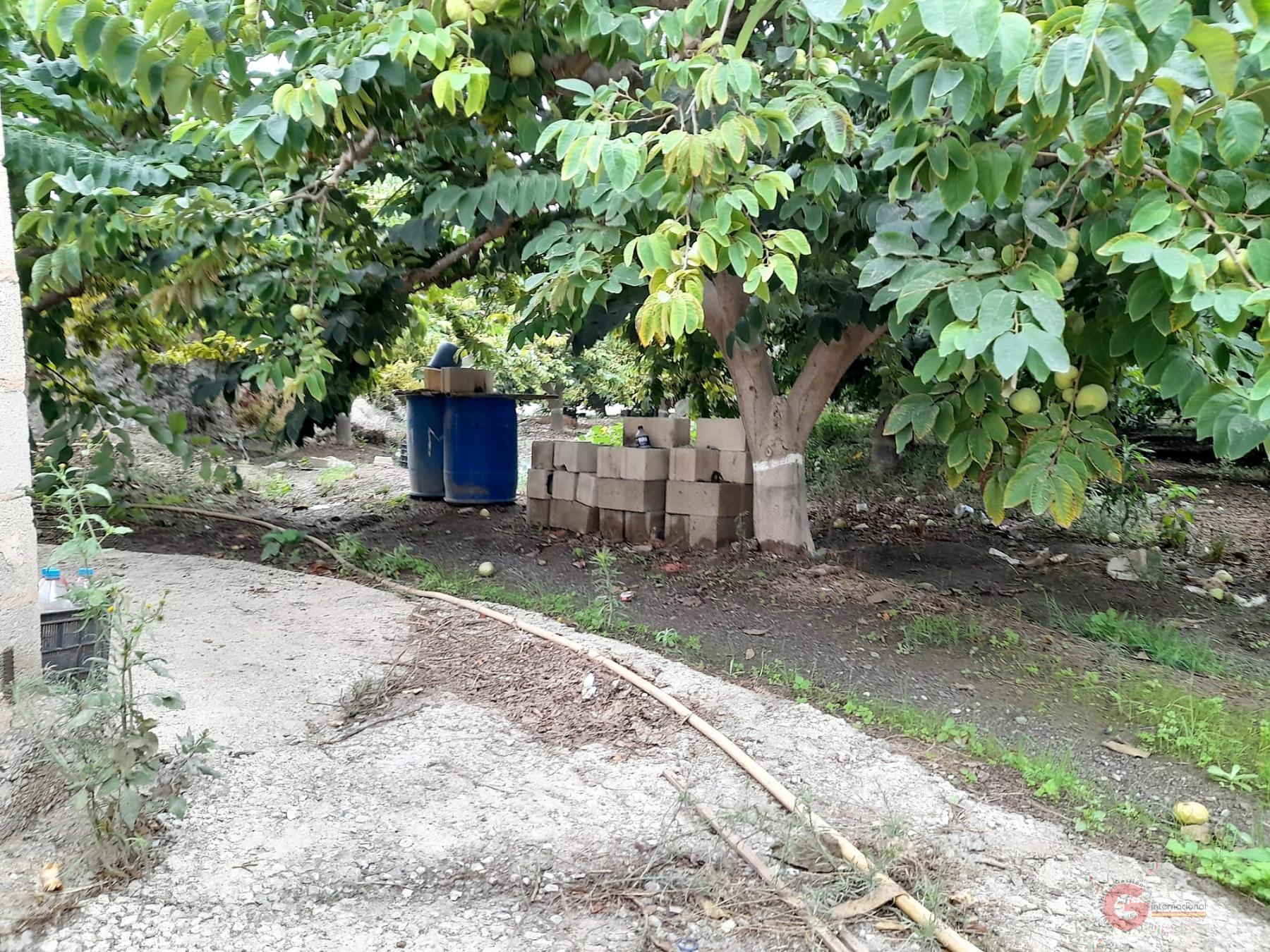 Vente de terrain dans Motril