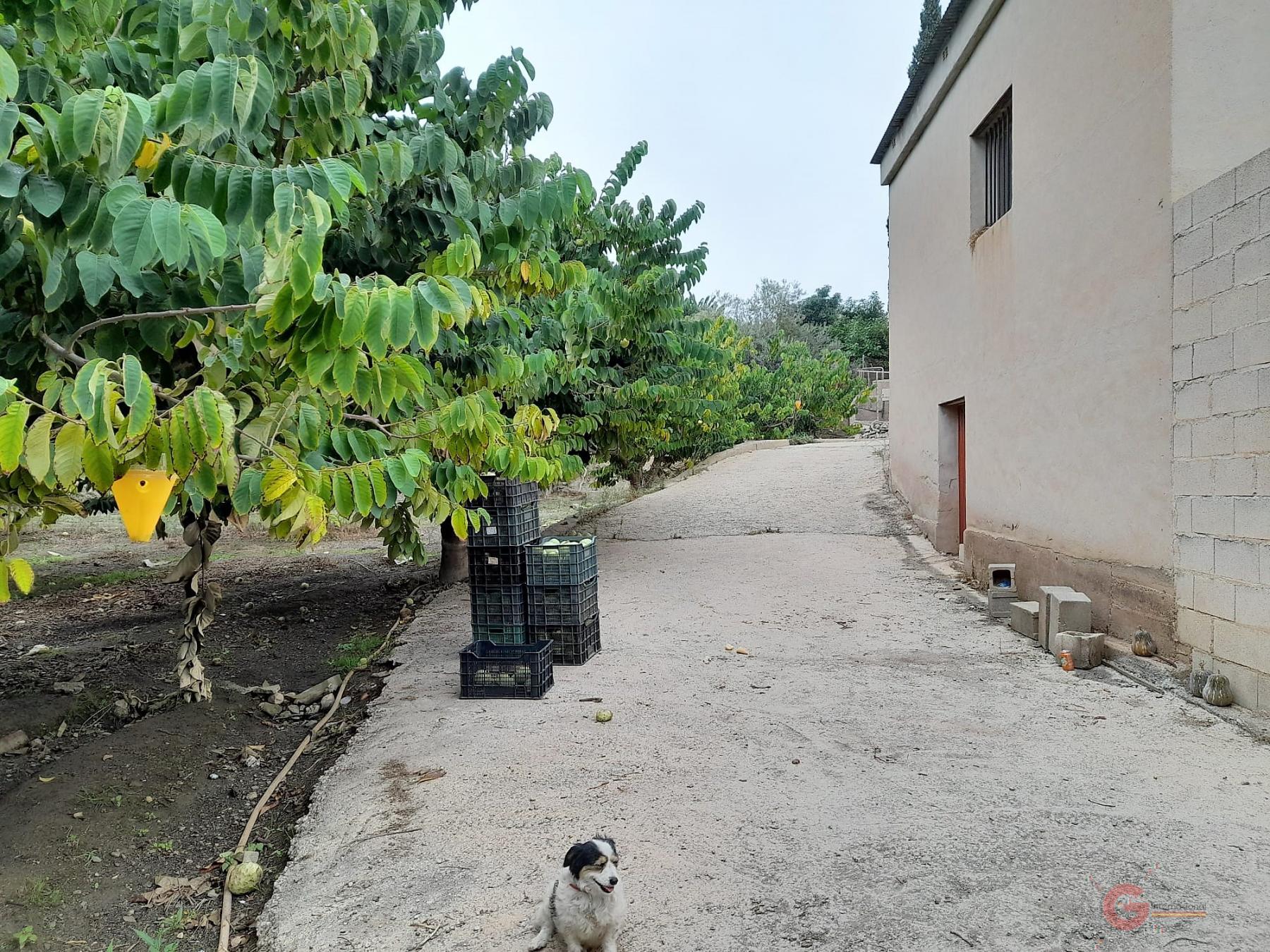 Vente de terrain dans Motril