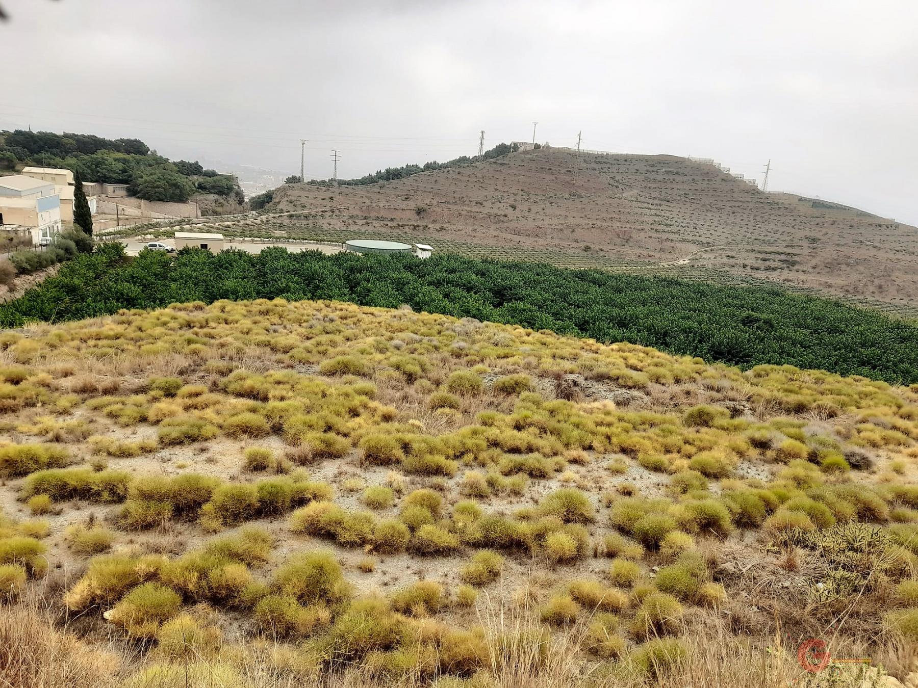 Vente de terrain dans Motril