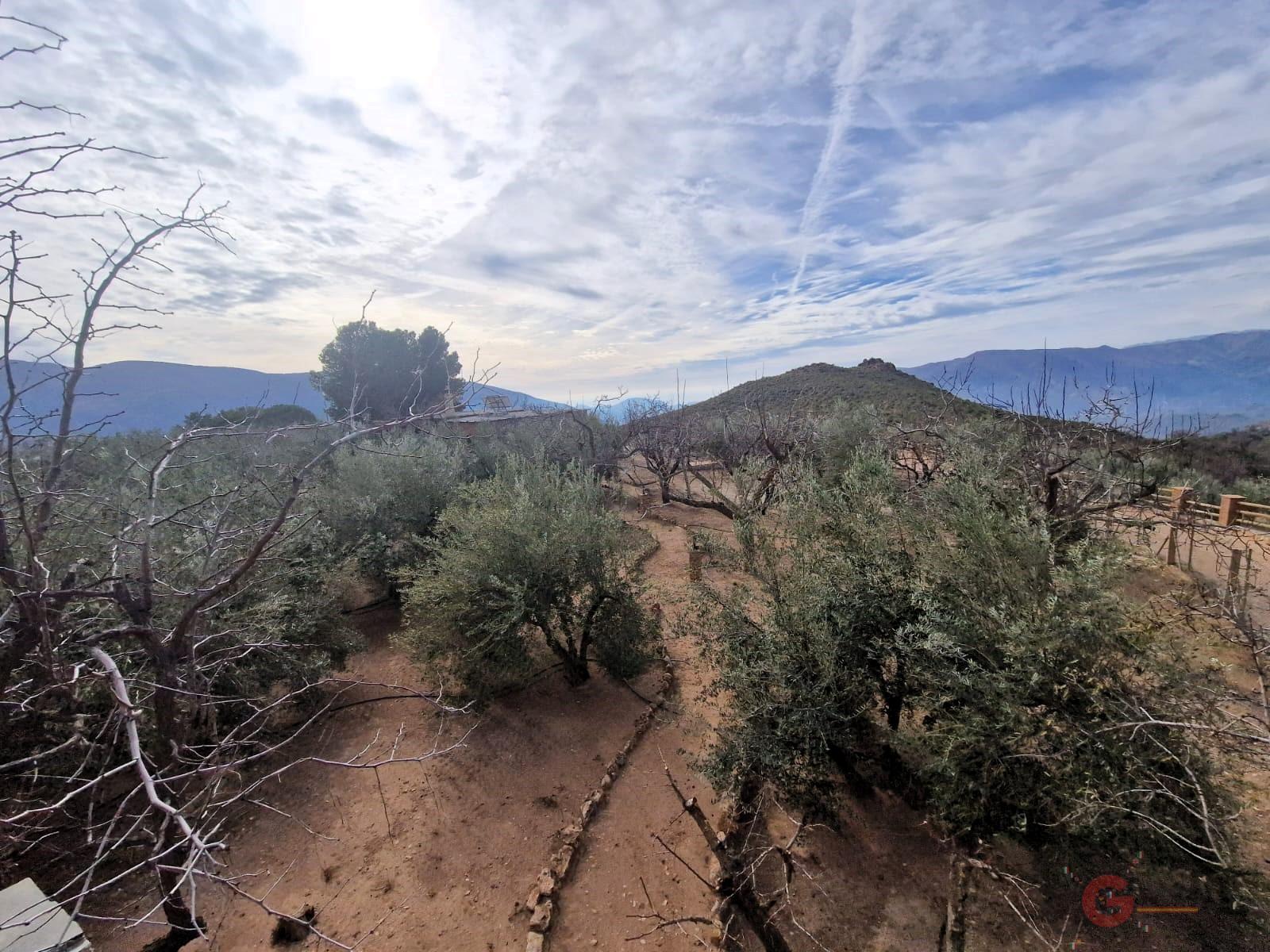 Venta de finca rústica en Lanjarón