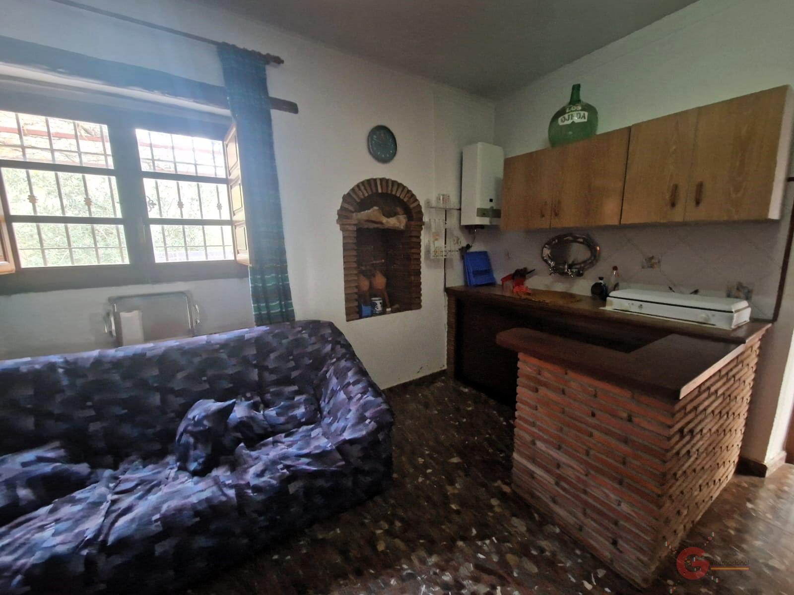 Venta de finca rústica en Lanjarón