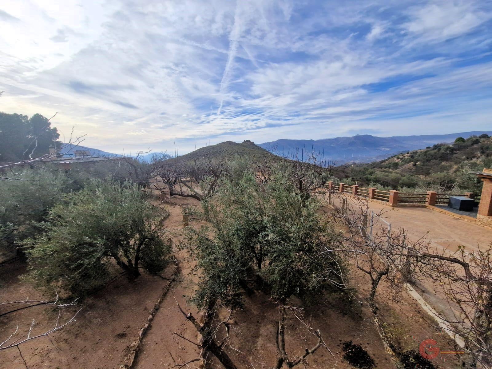 Venta de finca rústica en Lanjarón