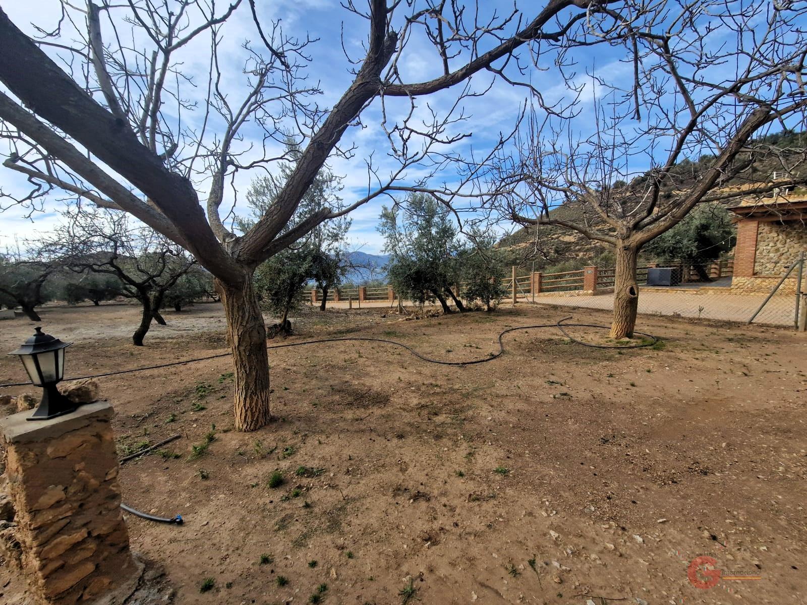 Venta de finca rústica en Lanjarón