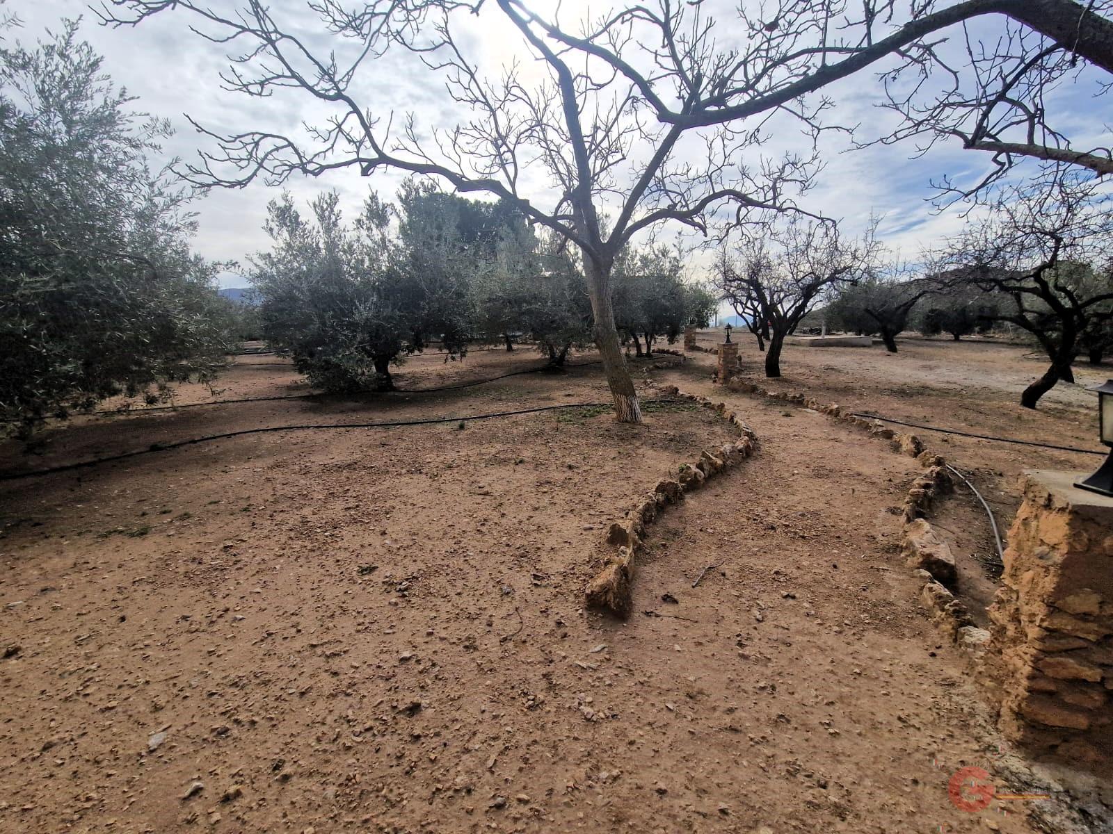 Venta de finca rústica en Lanjarón