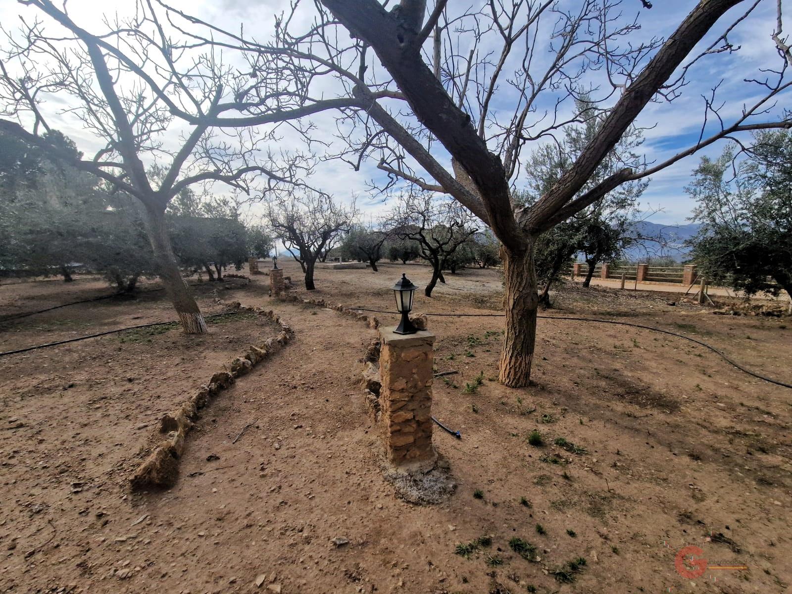 Venta de finca rústica en Lanjarón