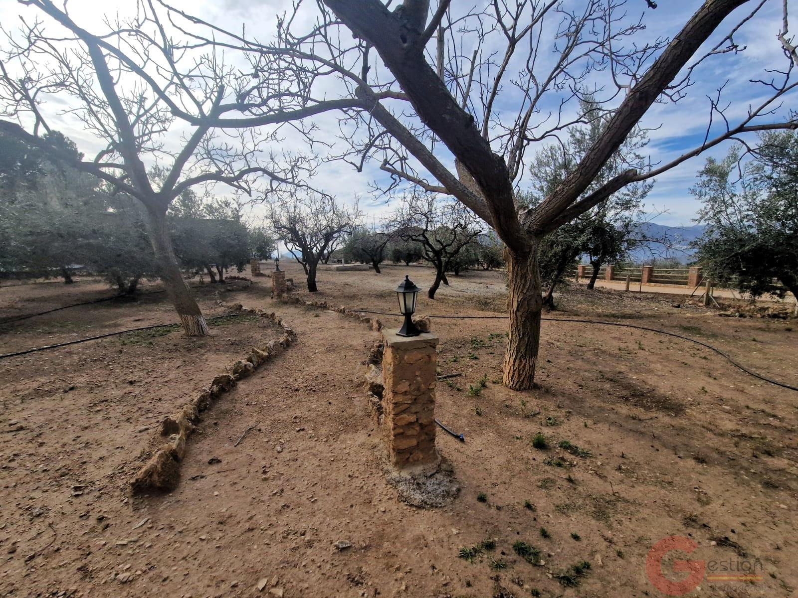 Venta de finca rústica en Lanjarón Venta de finca rústica en Lanjarón