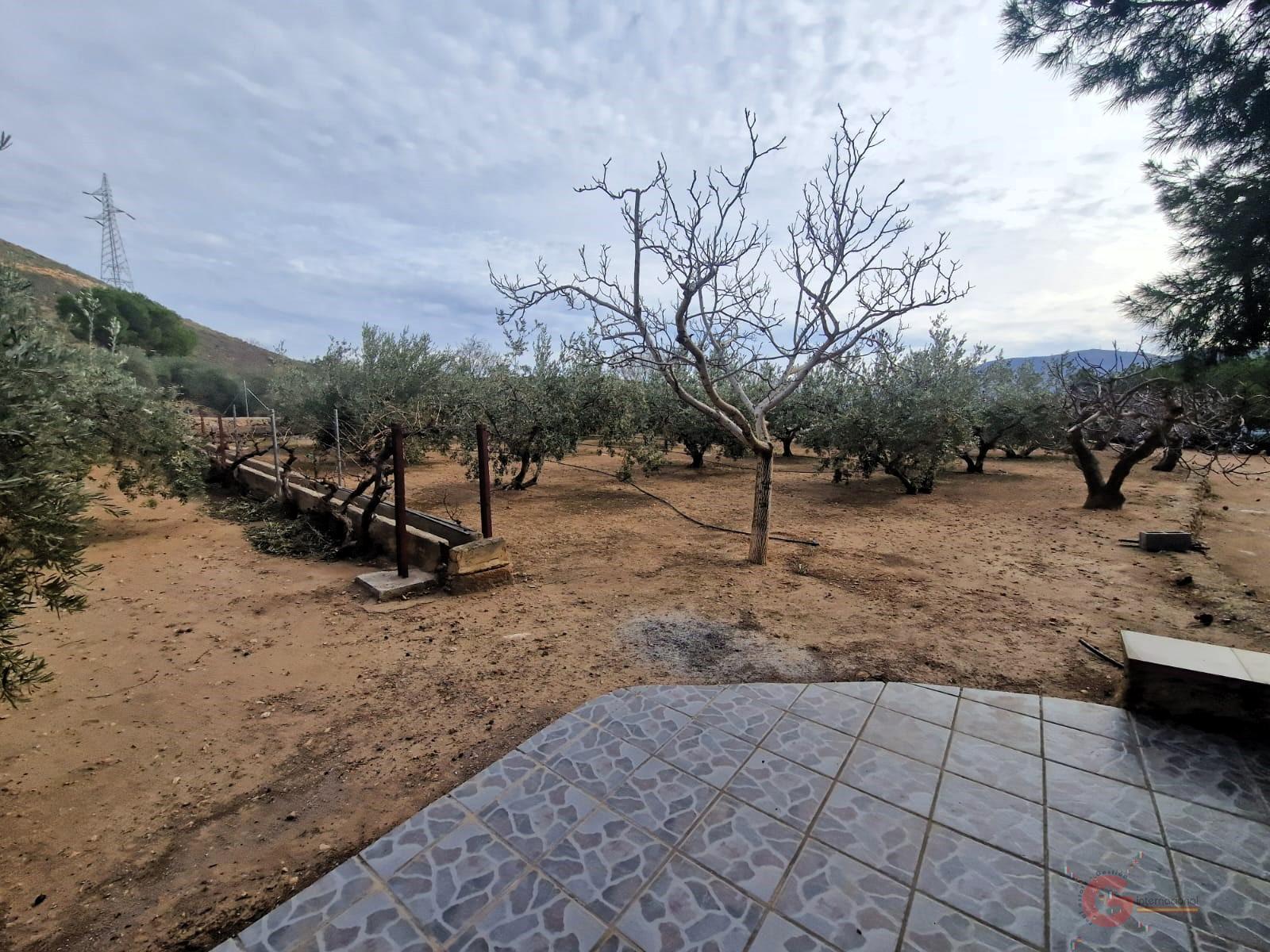 Venta de finca rústica en Lanjarón