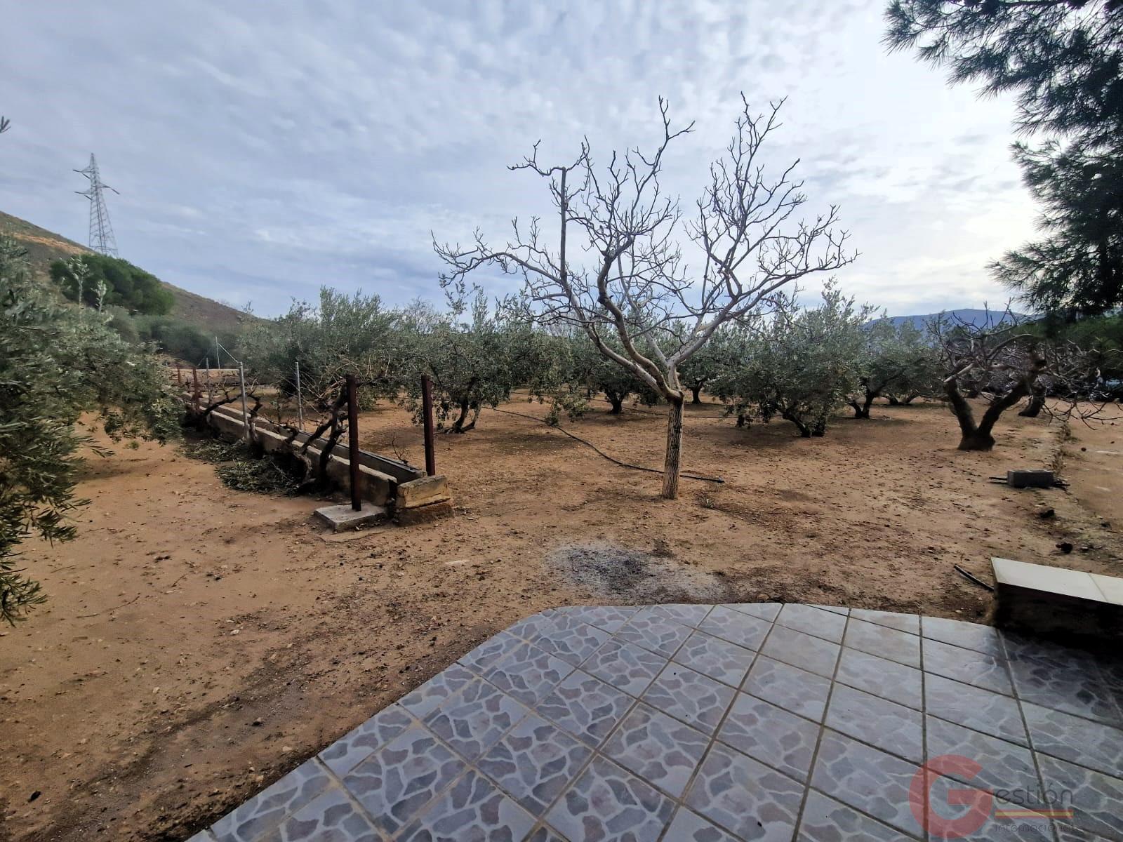 Venta de finca rústica en Lanjarón Venta de finca rústica en Lanjarón