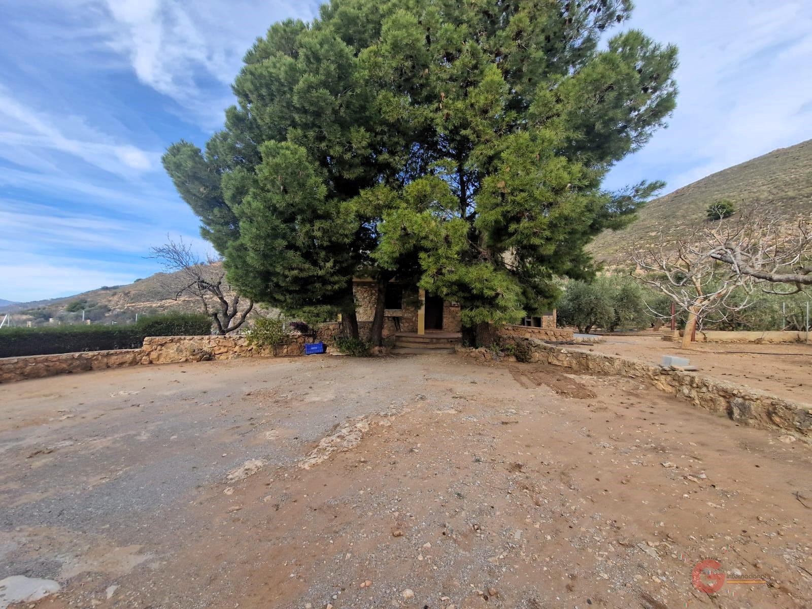 Venta de finca rústica en Lanjarón