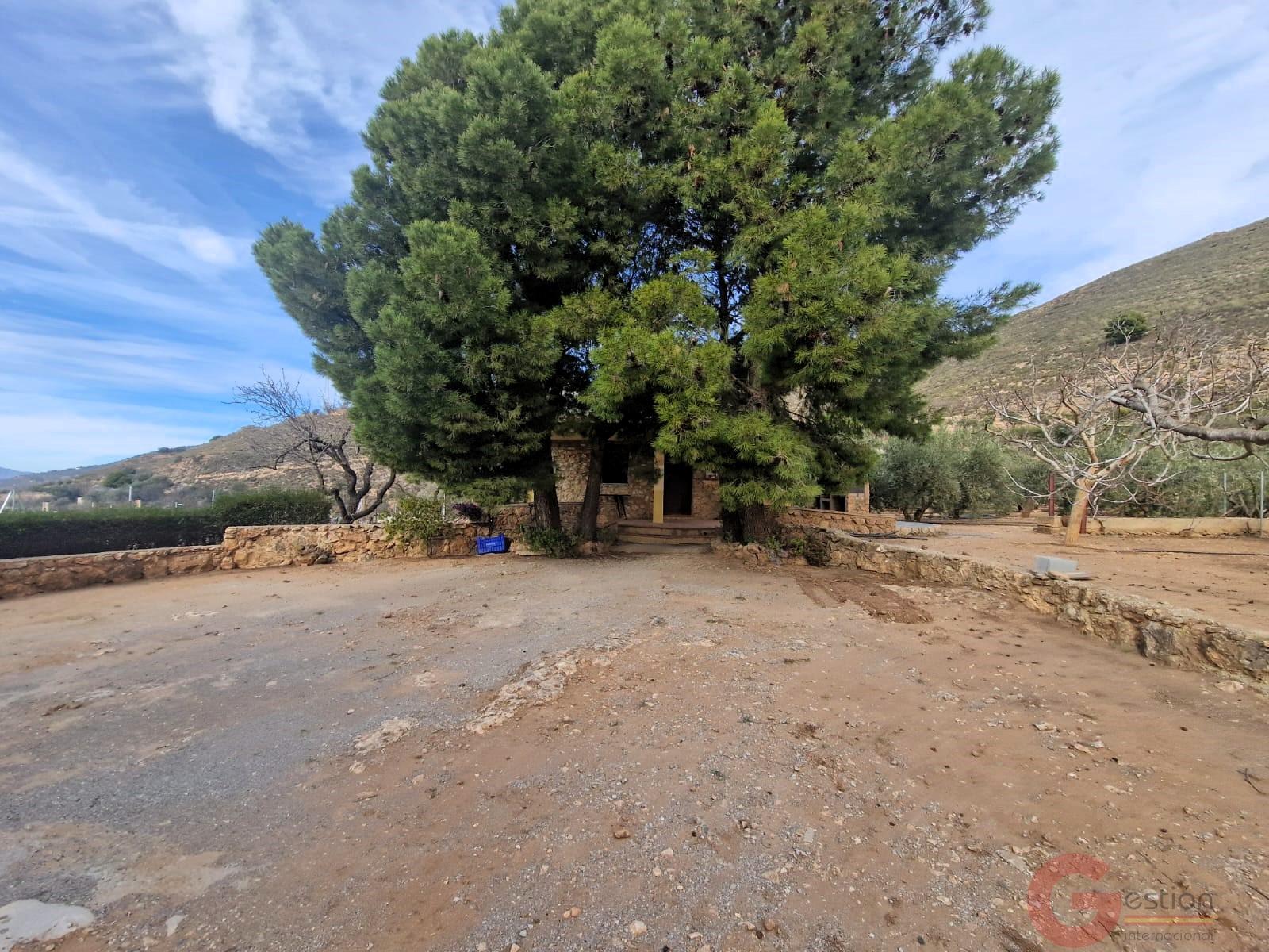 Venta de finca rústica en Lanjarón Venta de finca rústica en Lanjarón