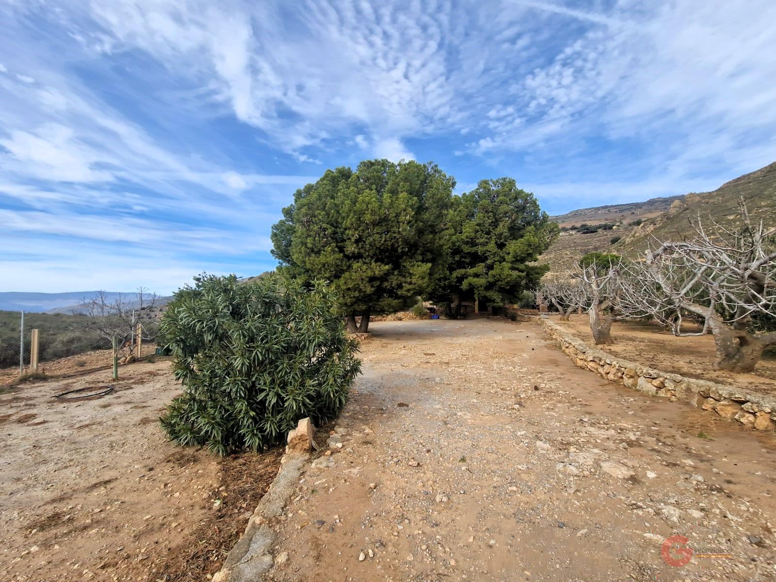Venta de finca rústica en Lanjarón
