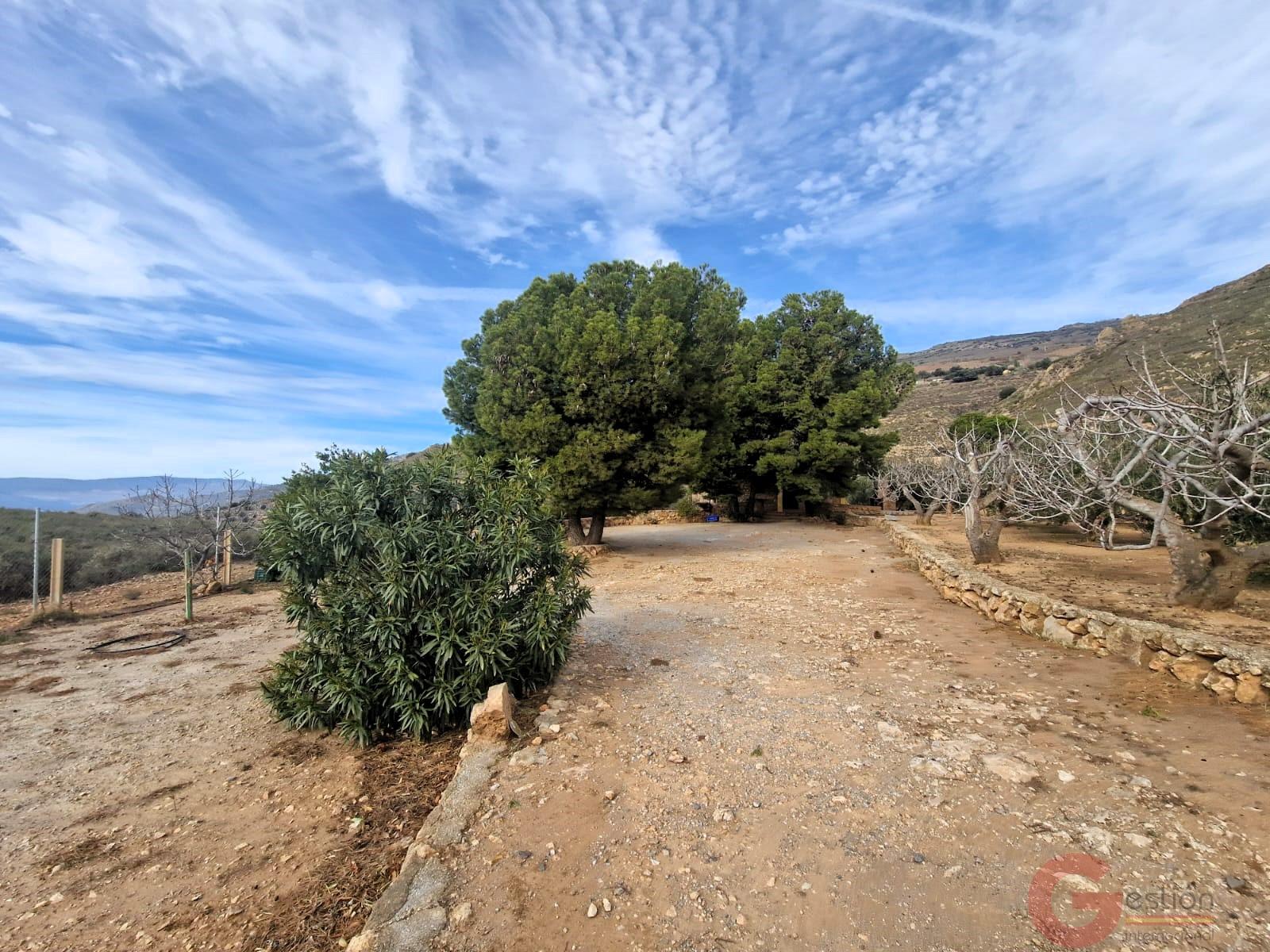 Venta de finca rústica en Lanjarón Venta de finca rústica en Lanjarón