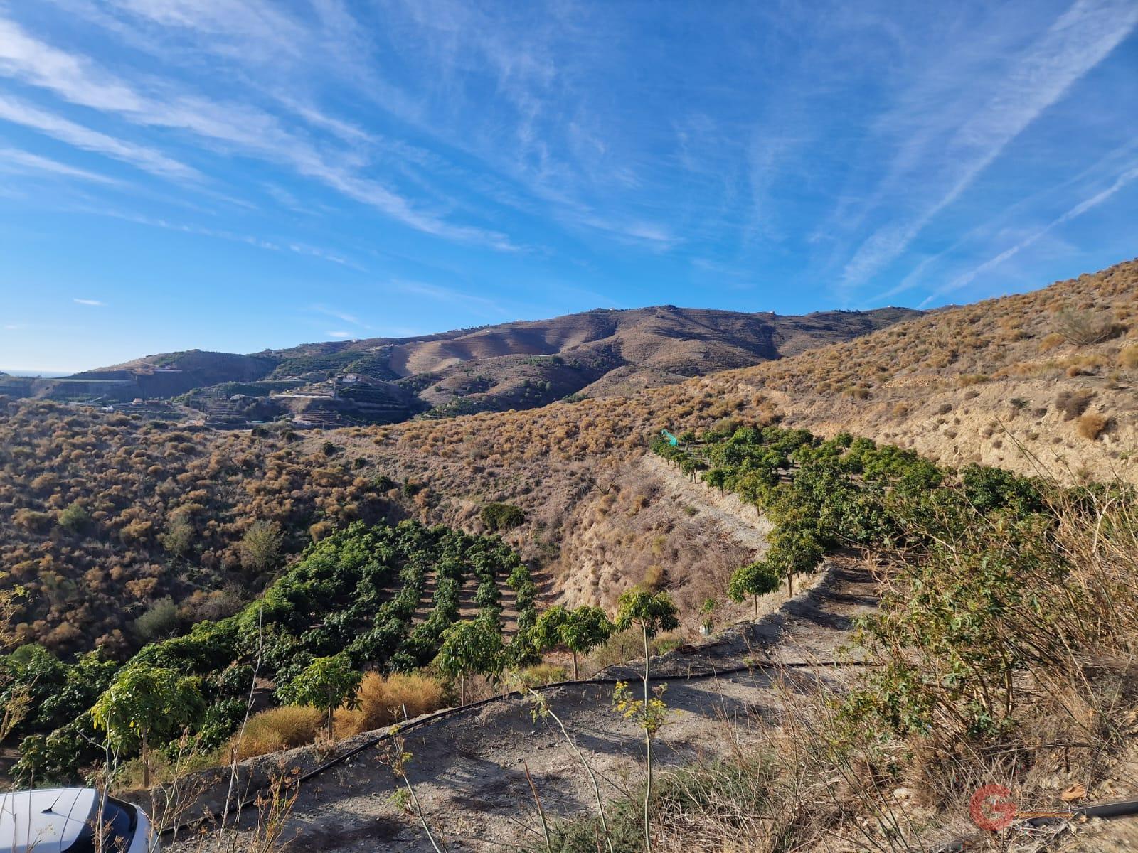 Venta de finca rústica en Salobreña