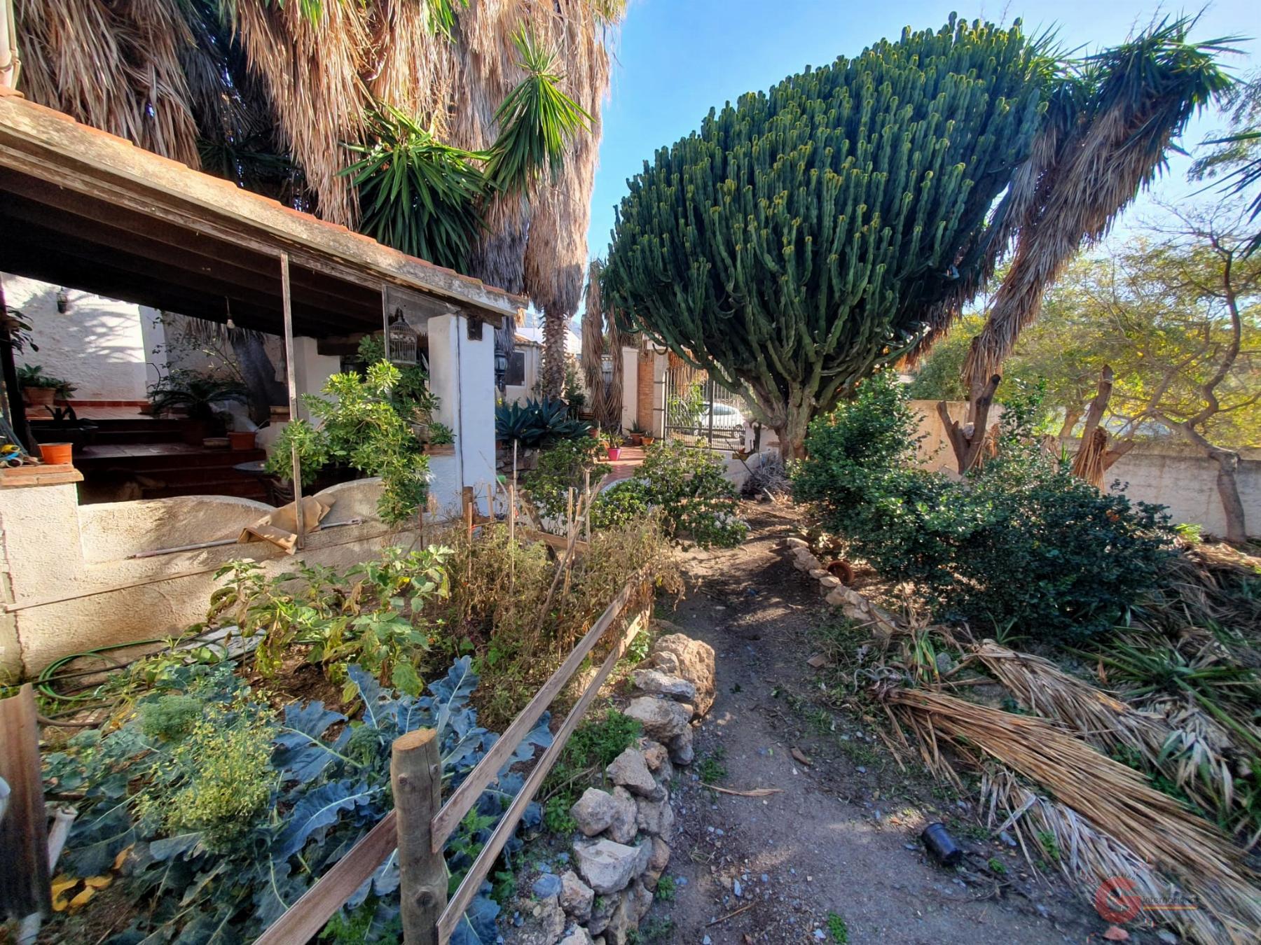 For sale of rural property in Motril
