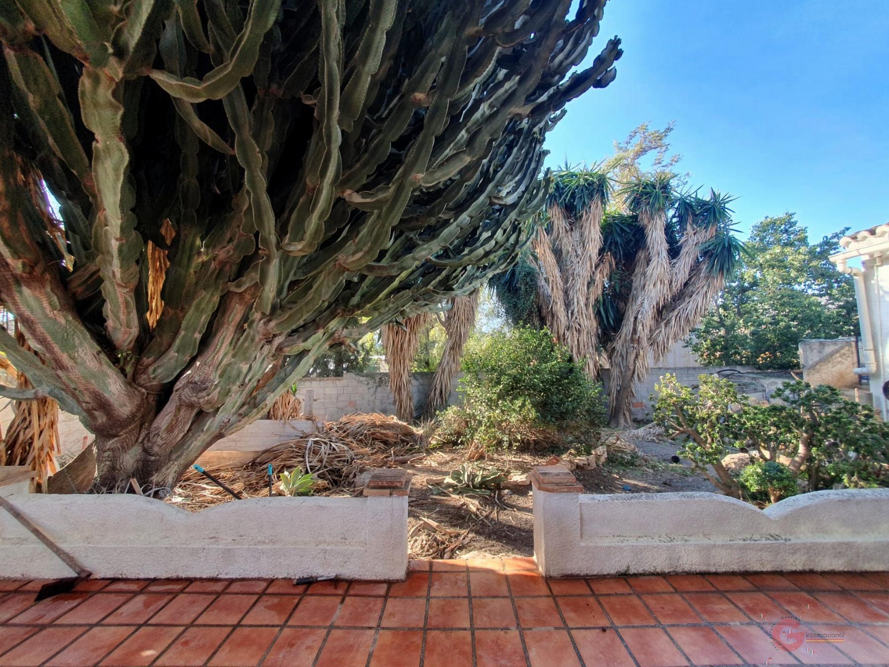 For sale of rural property in Motril