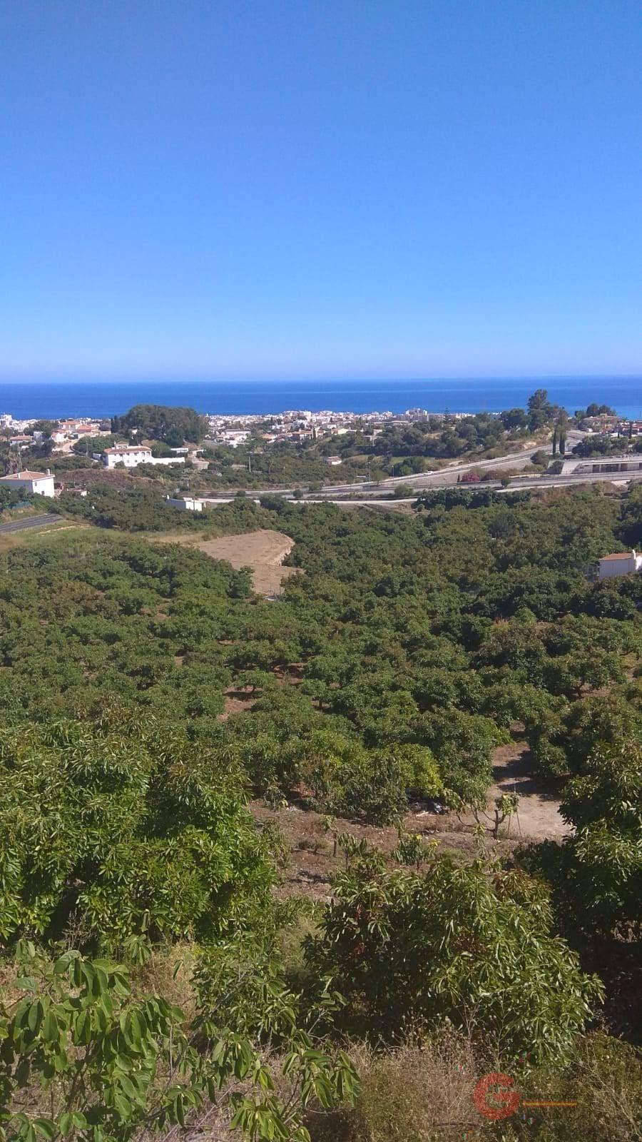 Venta de chalet en Frigiliana