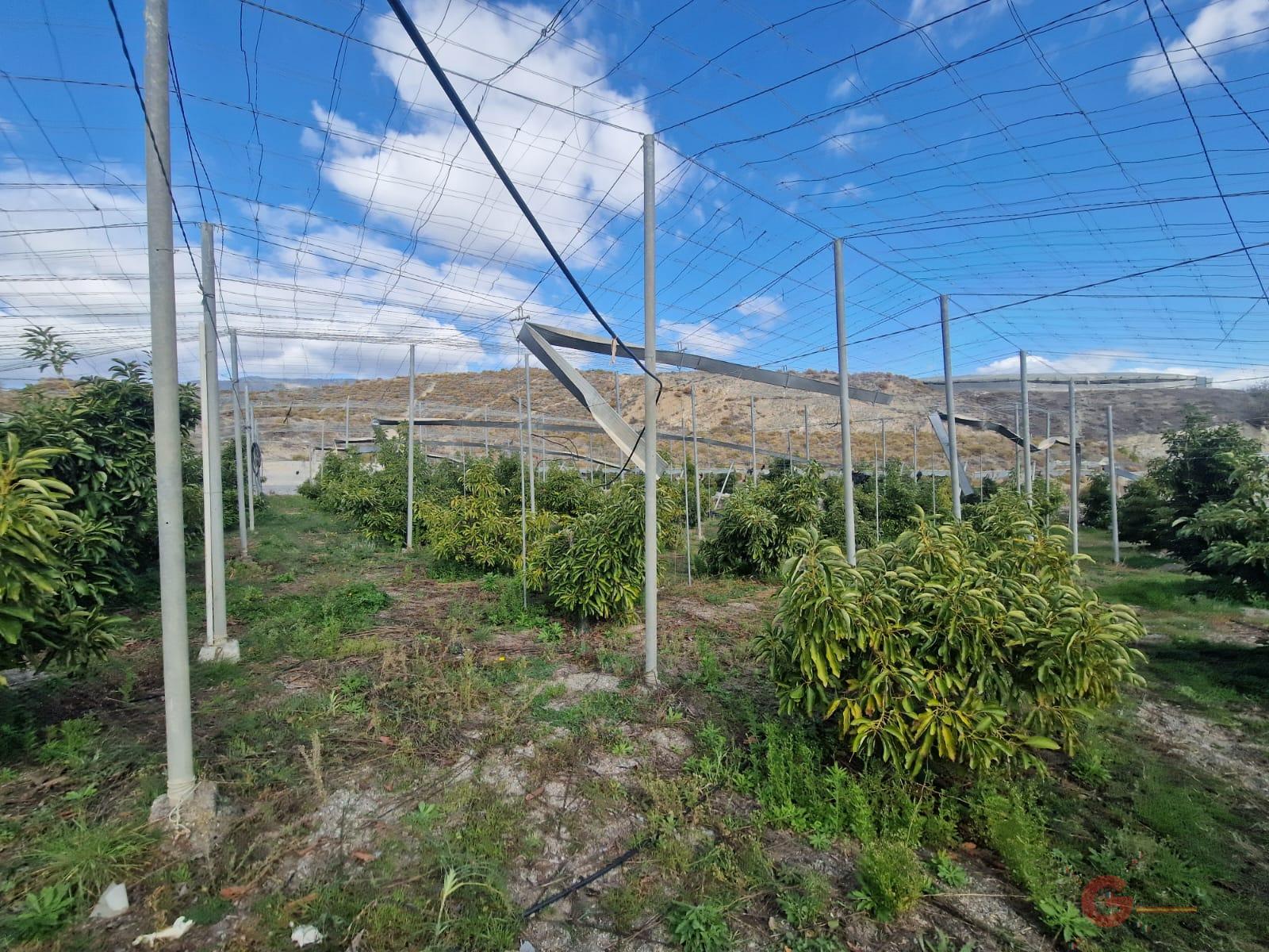 Vente de propriété rurale dans Salobreña