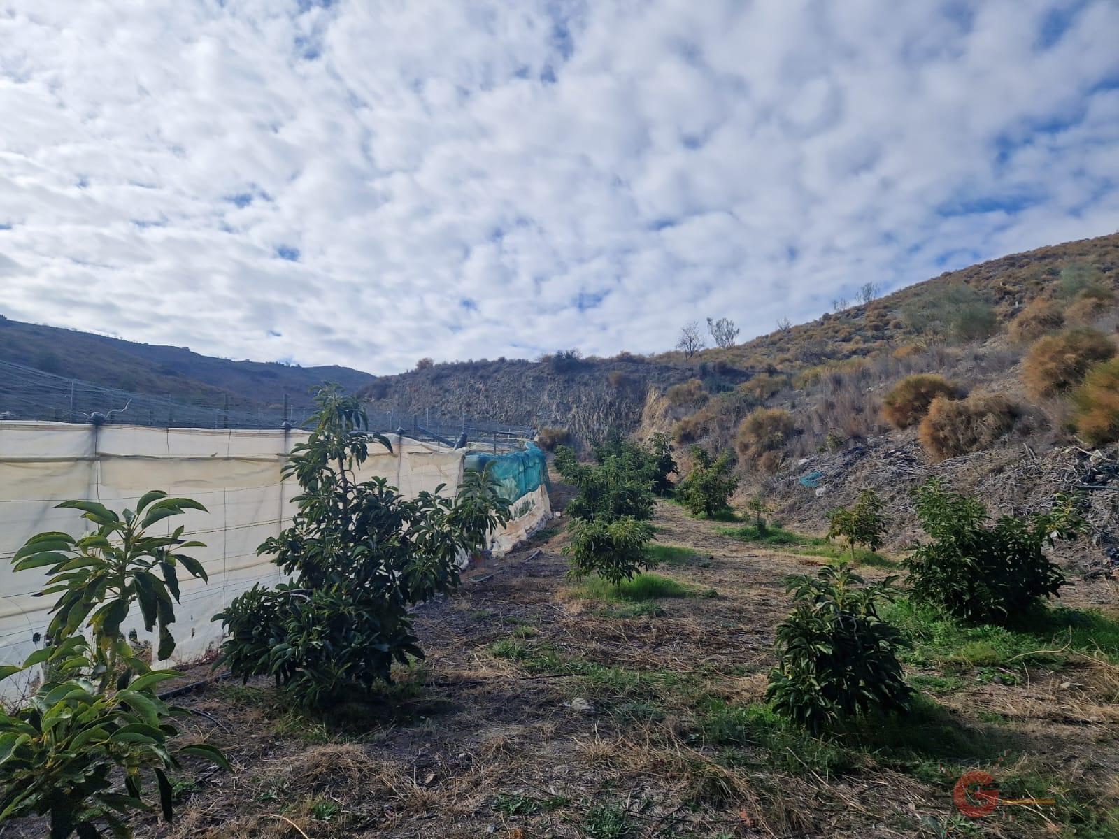 Vente de propriété rurale dans Salobreña