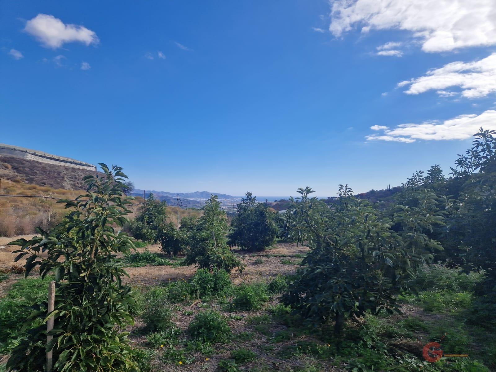 Vente de propriété rurale dans Salobreña