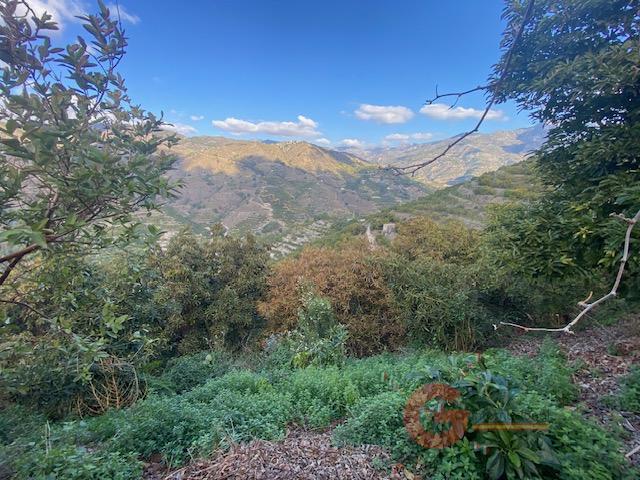 For sale of rural property in Almuñécar