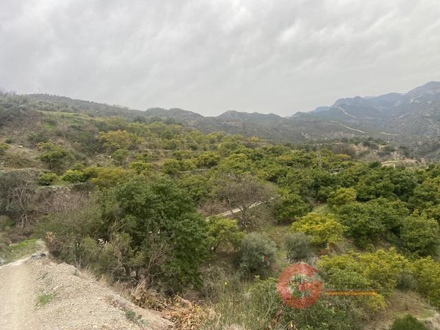 Venta de finca rústica en Otívar