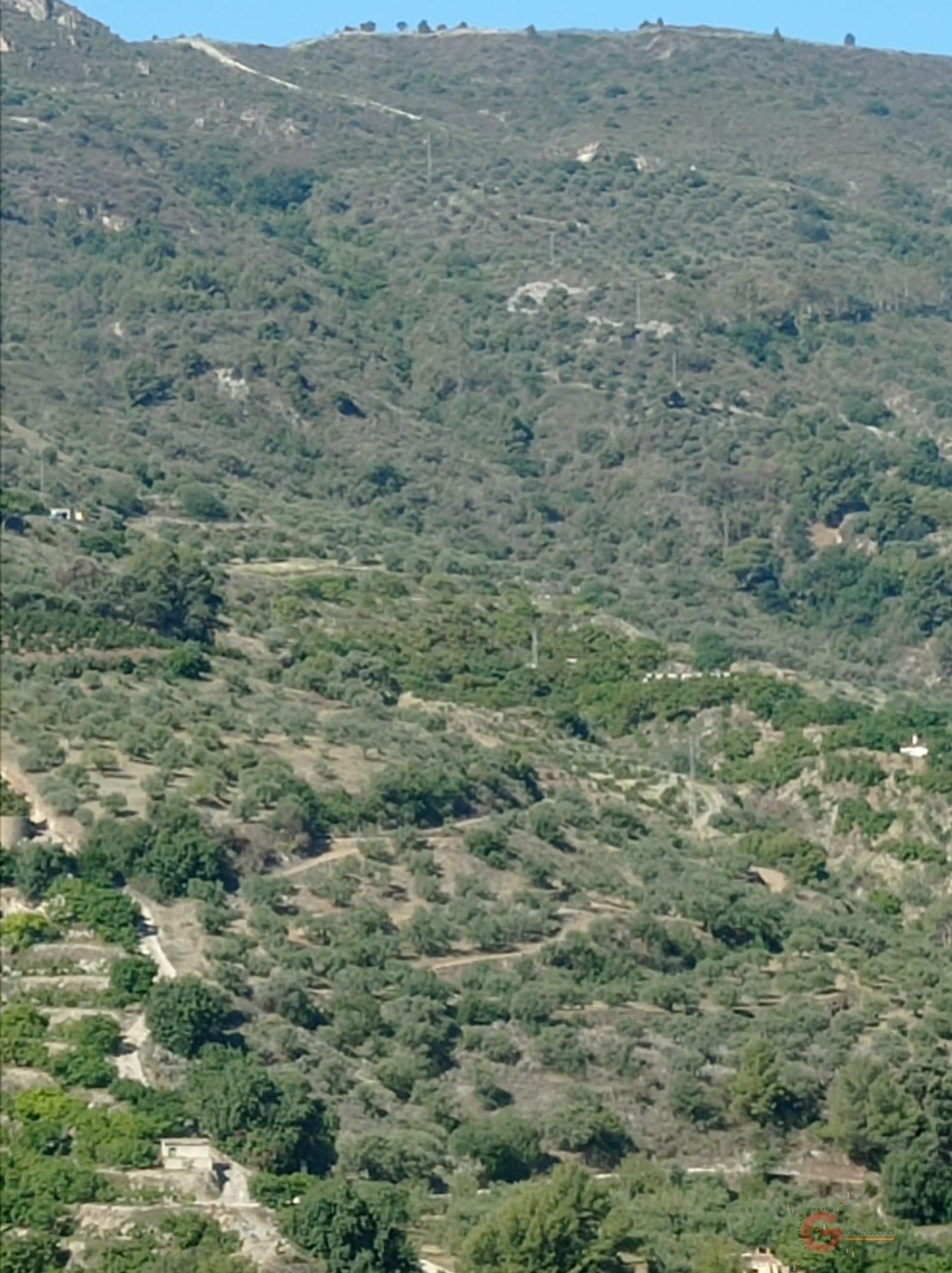 Venta de finca rústica en Otívar
