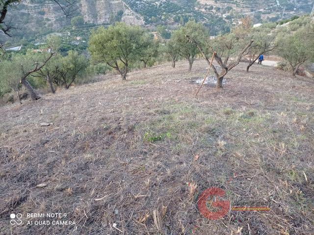 Venta de finca rústica en Otívar