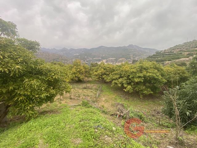 Venta de finca rústica en Otívar
