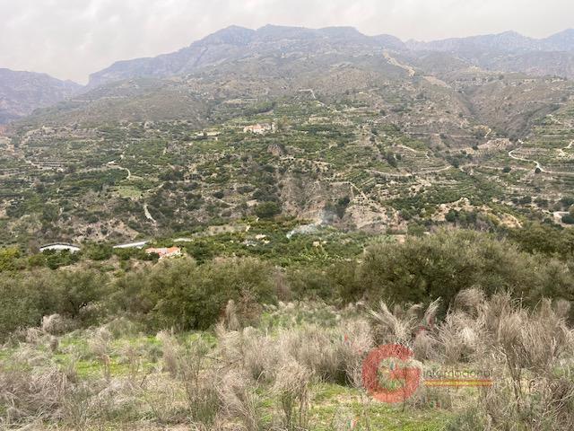 Venta de finca rústica en Otívar